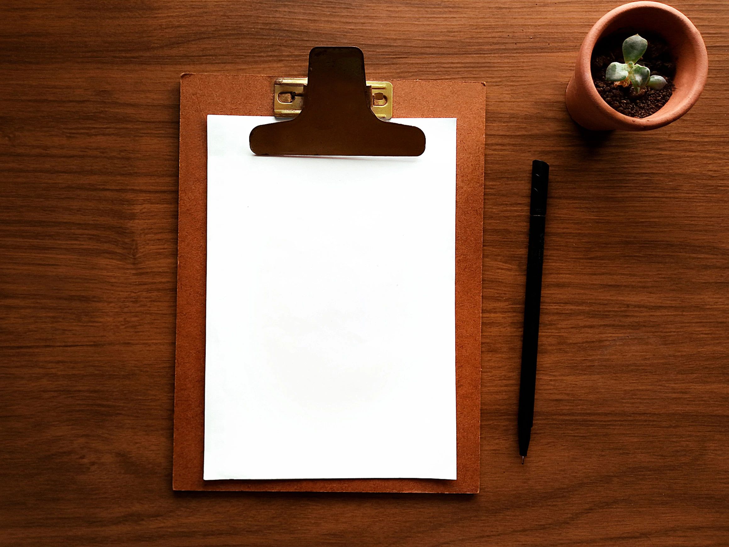 Clipboard mockup flat lay with plant and pen